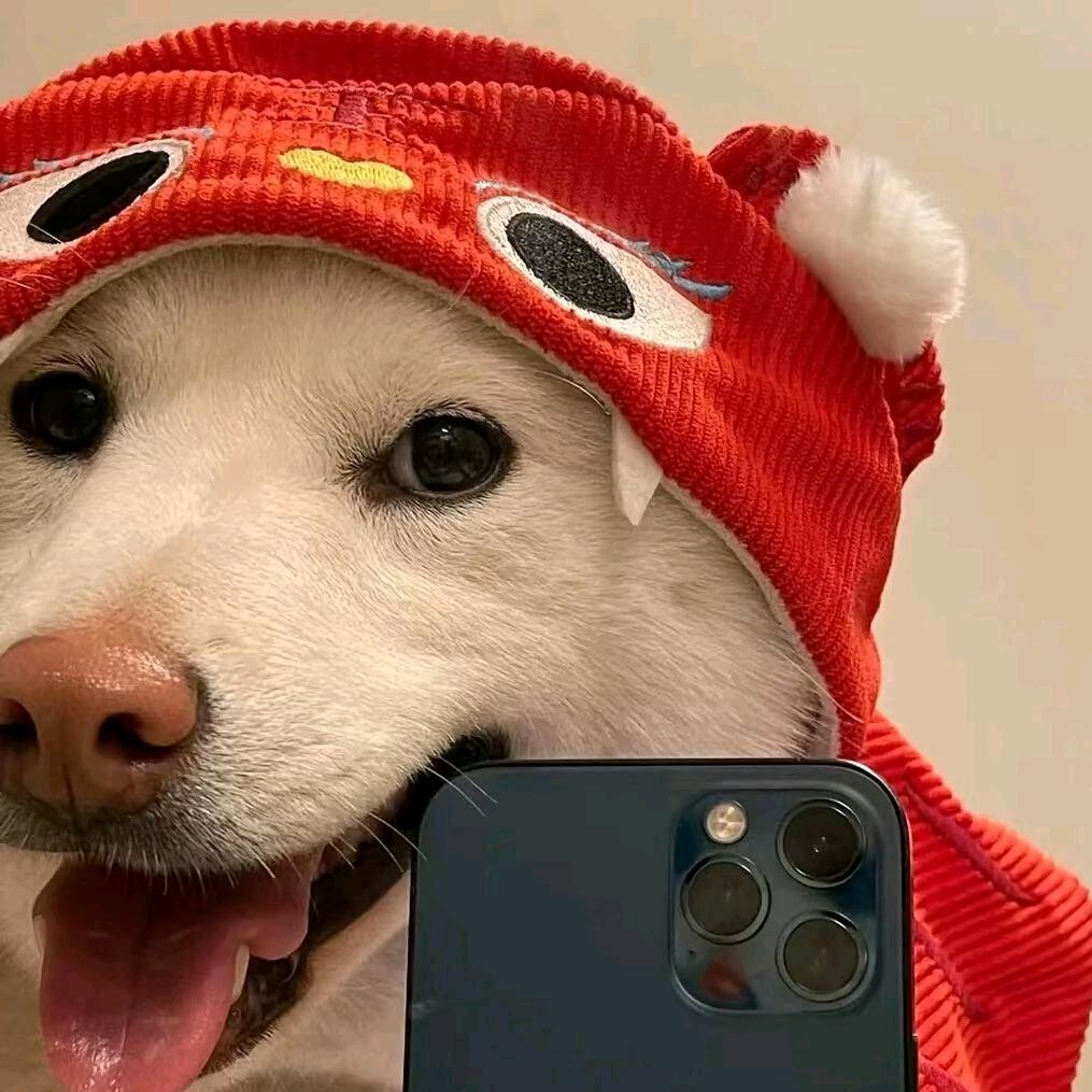 丨Mortal丨
