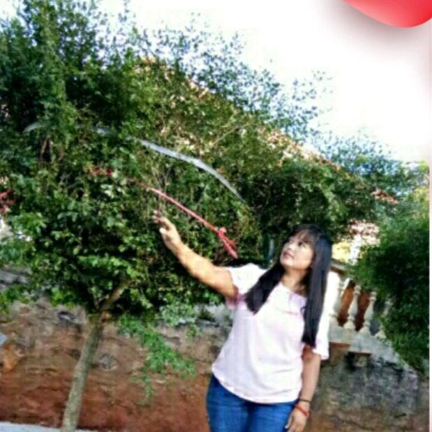 🌹冰冰玫瑰🌹