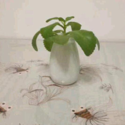 用户9352252568823