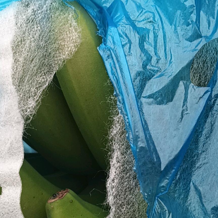 啊区