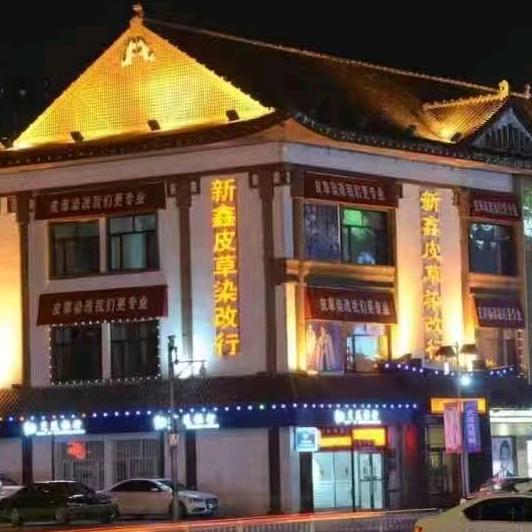 大庆市新鑫皮草染改行