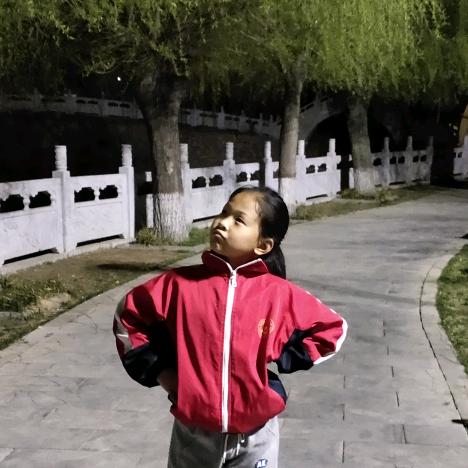 鱼丸子