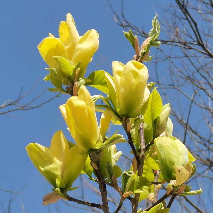 姐的世界你不懂_20