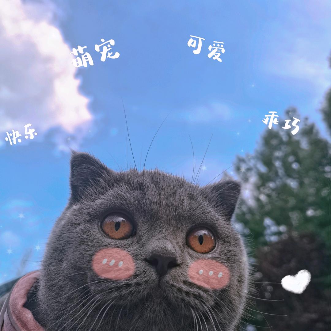 靑允🌼️