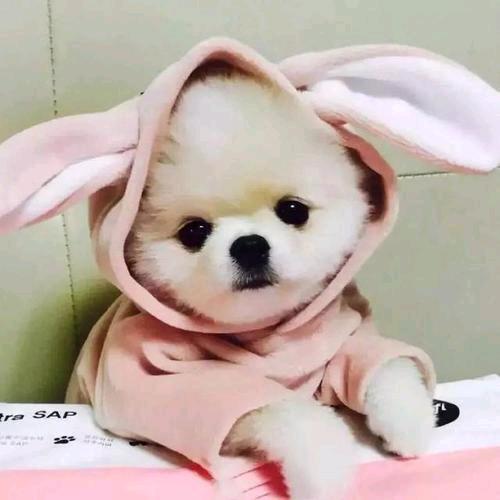 可乐儿