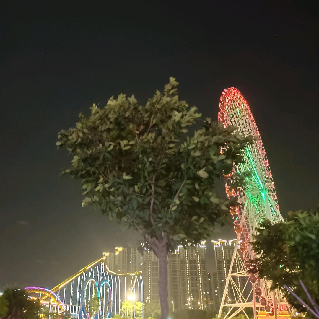 尼斯湖的小螃蟹