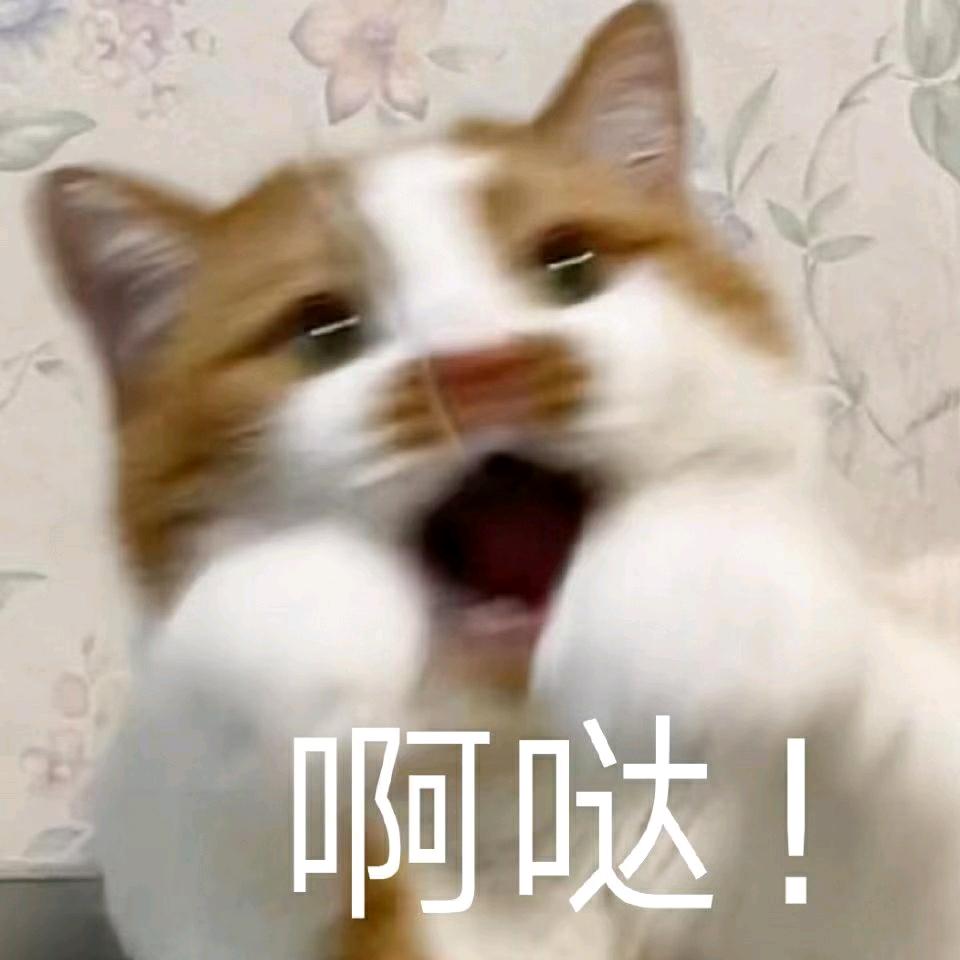 王二猴儿