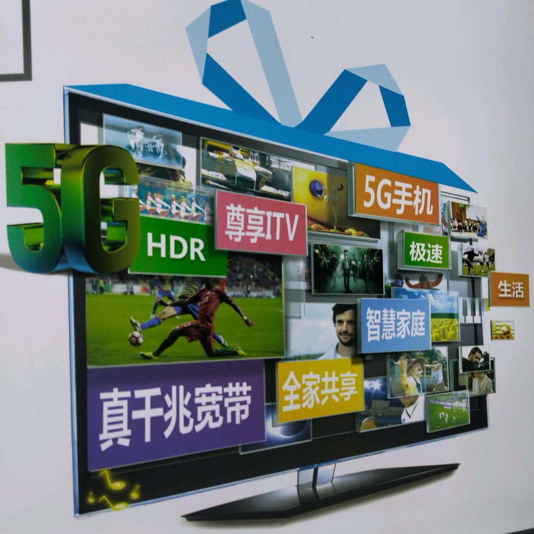 重生之我在电信的日常。