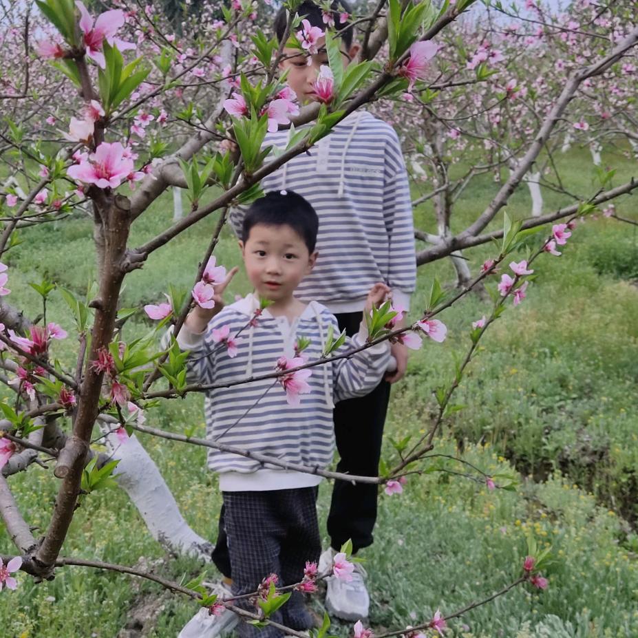 卖五金的小姐姐（拒绝连赞）