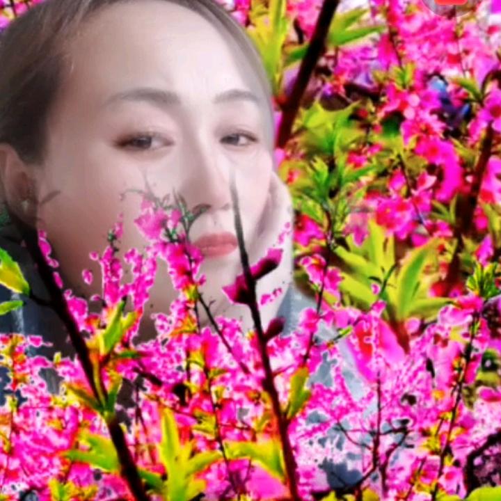 善美_2563441