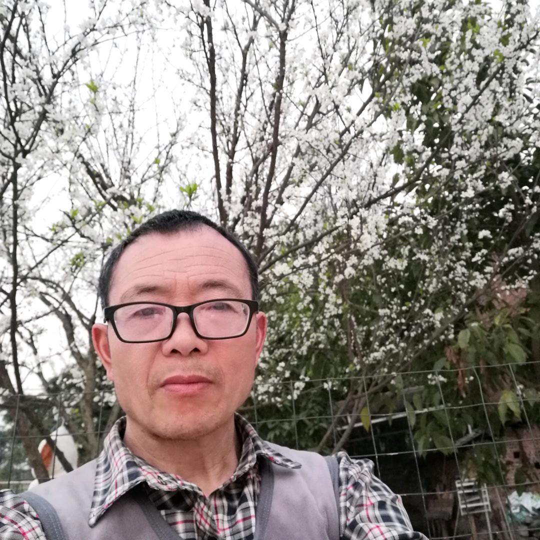 被丢在半路的斌哥哥