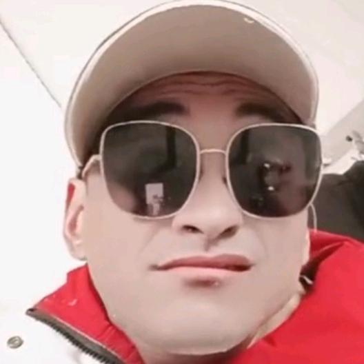 🐍王子强🐍