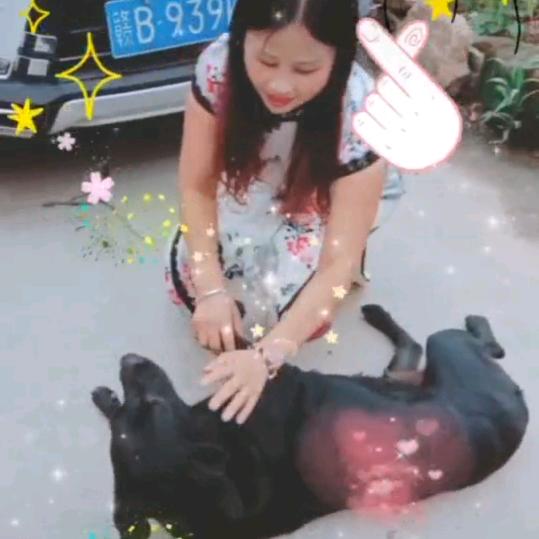福运连连