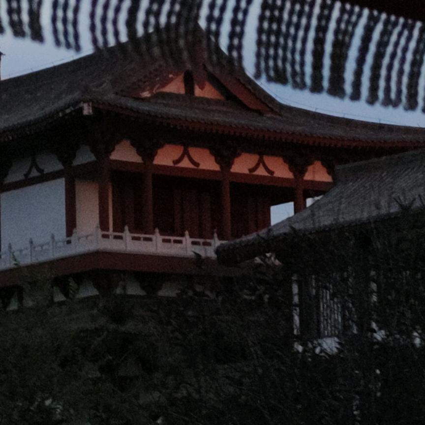 欲语泪先流
