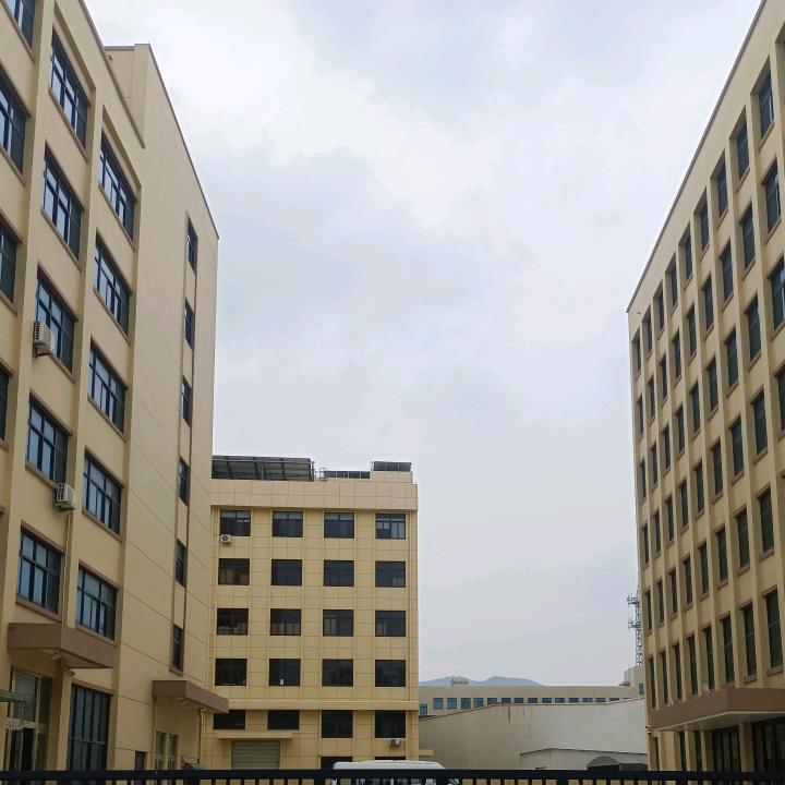 迪杨