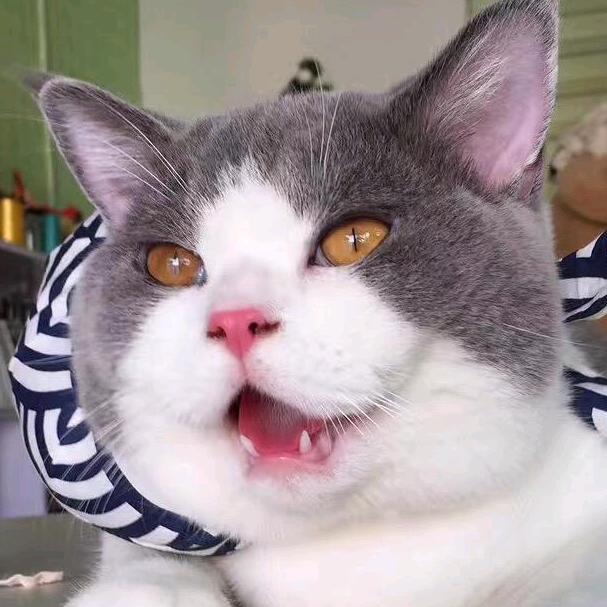 小猛男