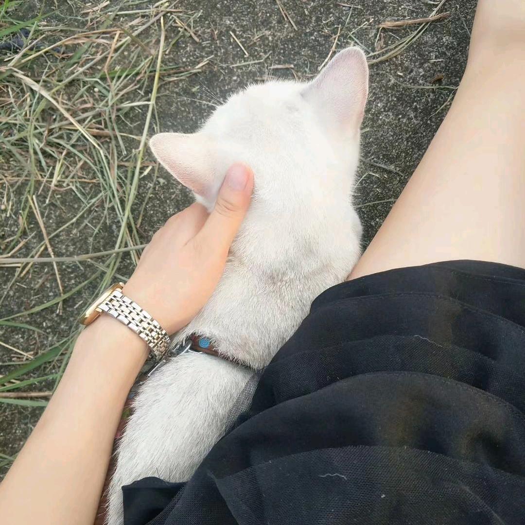 花花🌸🌸