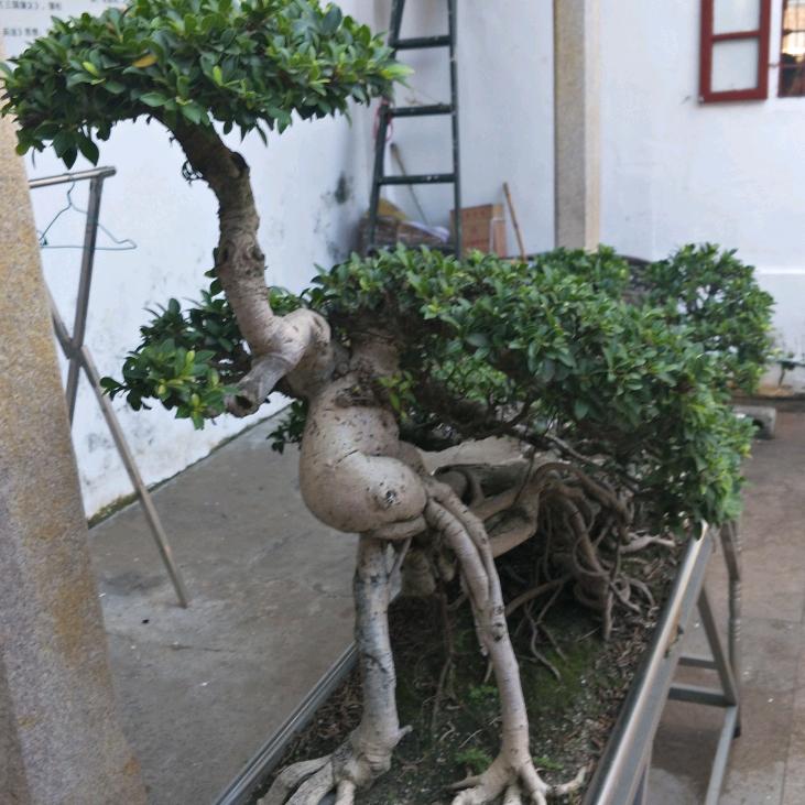 ☀️十五⁷⁷⁷