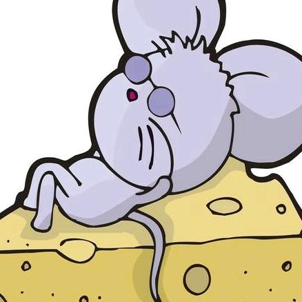 老鼠大王