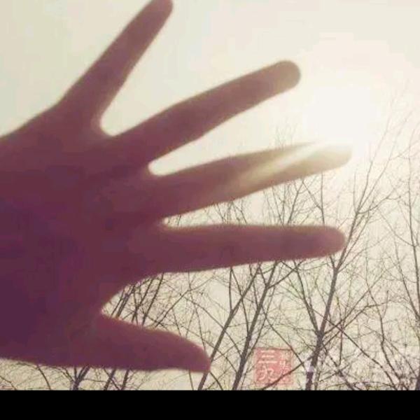 🌻繁星🌻✨ᵏ⁹¹⁹