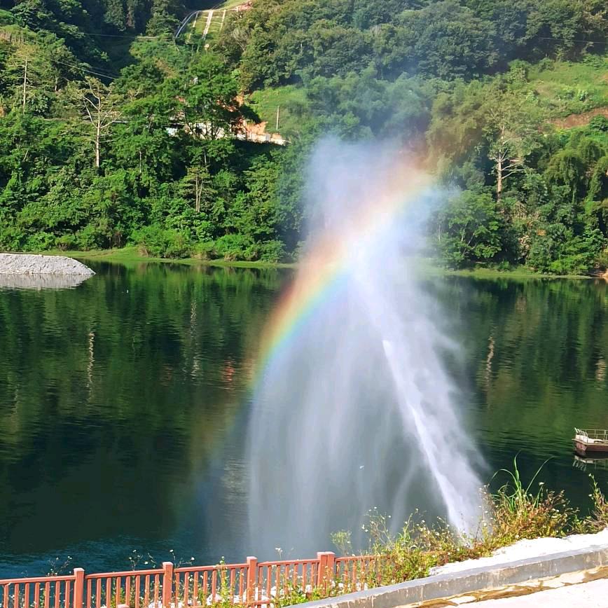 天峨哥 (陳)