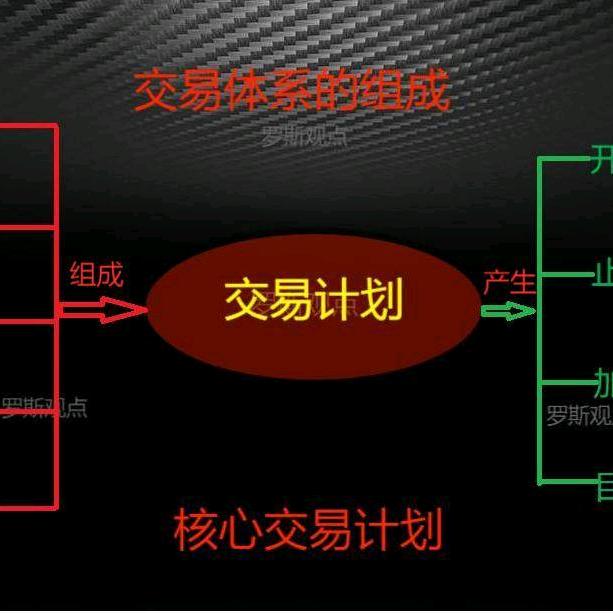 罗斯观点