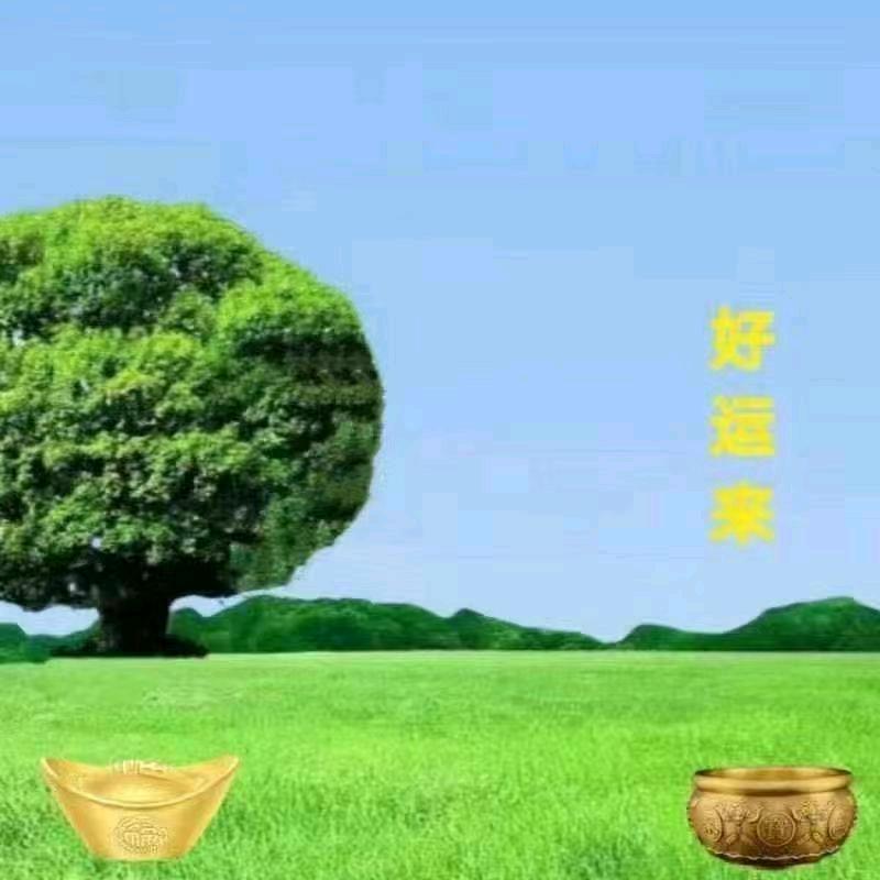 爆款好物推荐