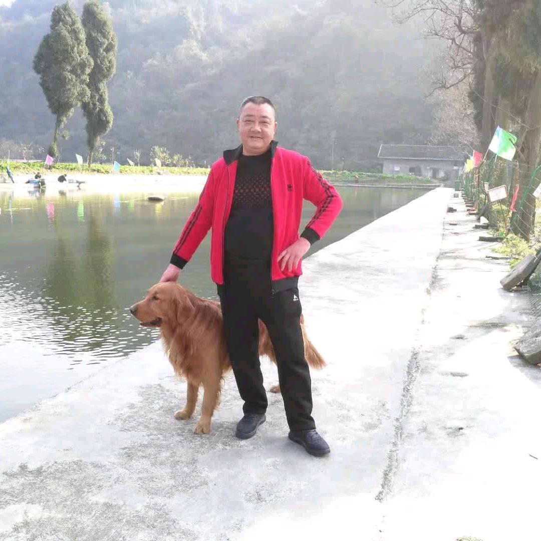 圆你梦