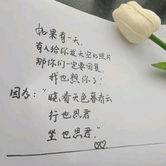 柏菲