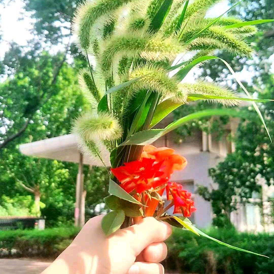 做一个快乐的人(拒绝连赞)