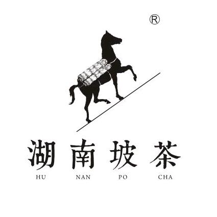 湖南坡茶业