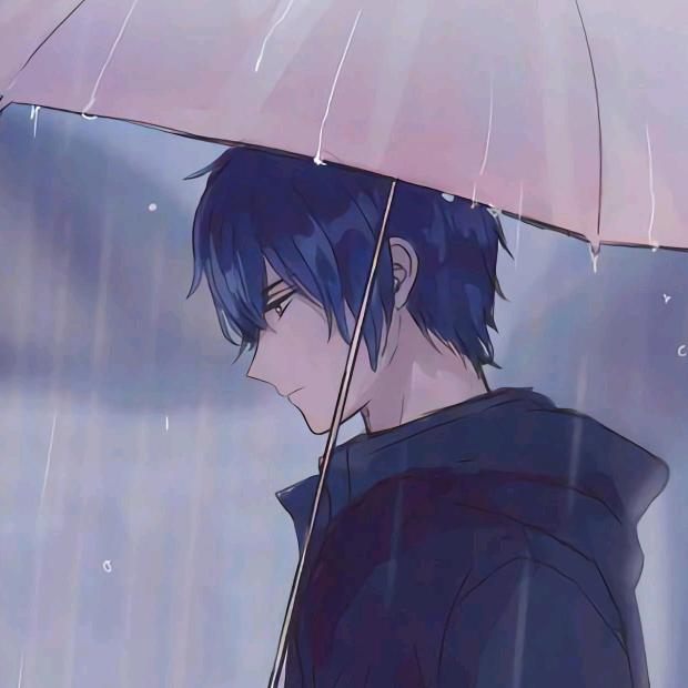 木点点/