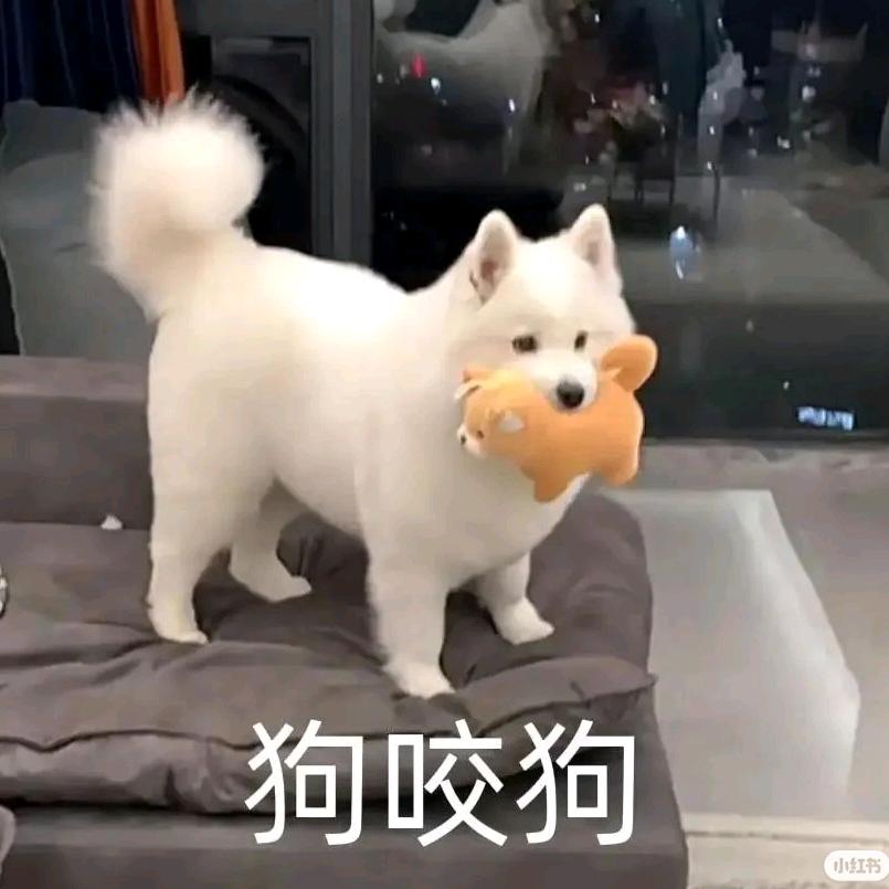 西谷冰