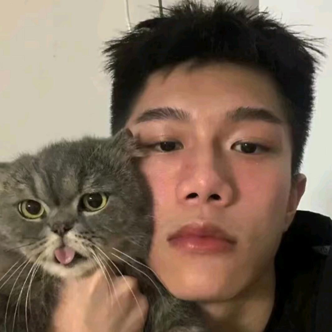 冷诗提