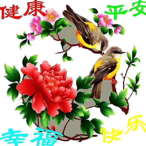 sichuan30980