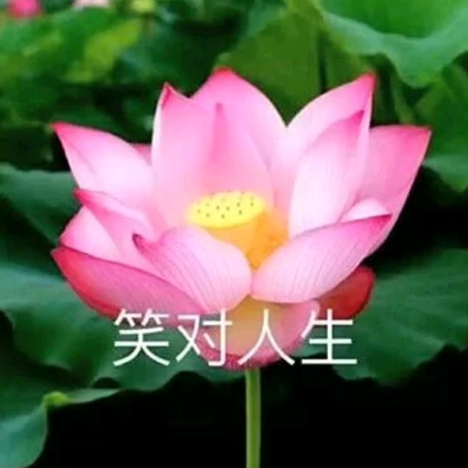 朱明全😇