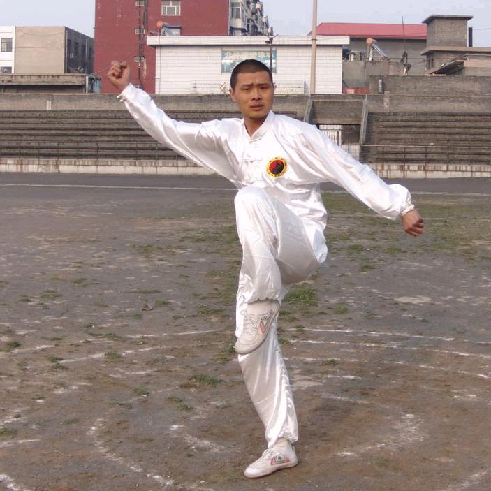 两仪拳点穴传承人张杰龙(功夫龙）