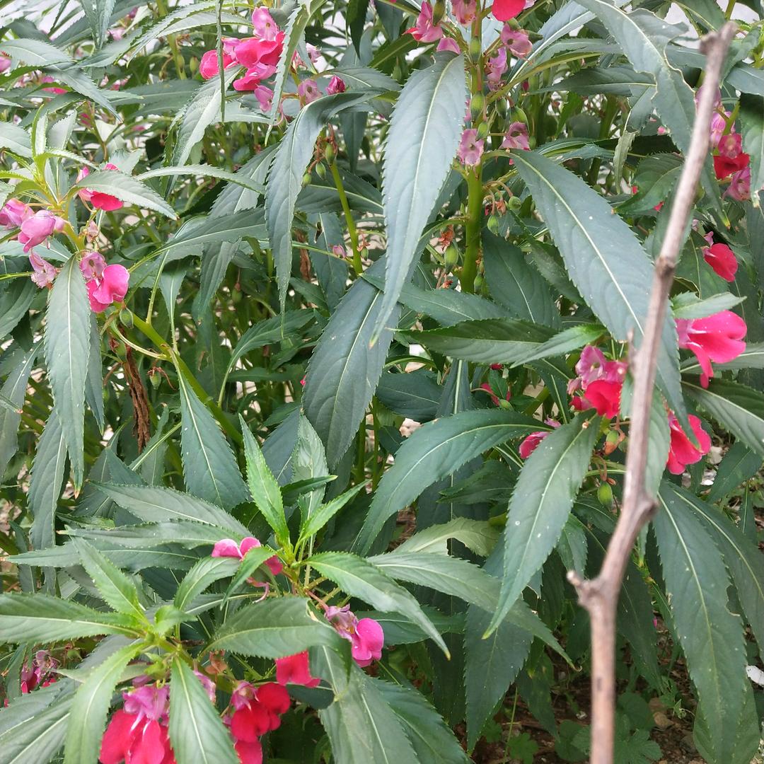 今天是个好日子