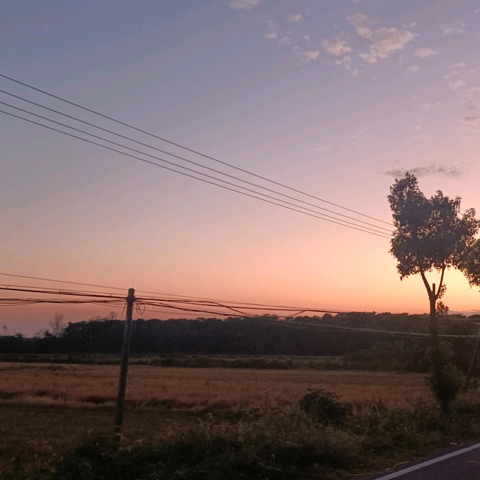 🐯🐯不二🐰✨✨