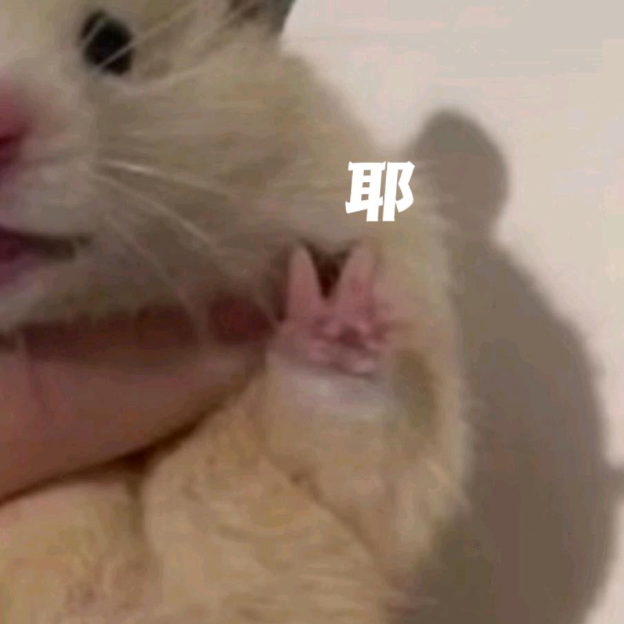 你管我!