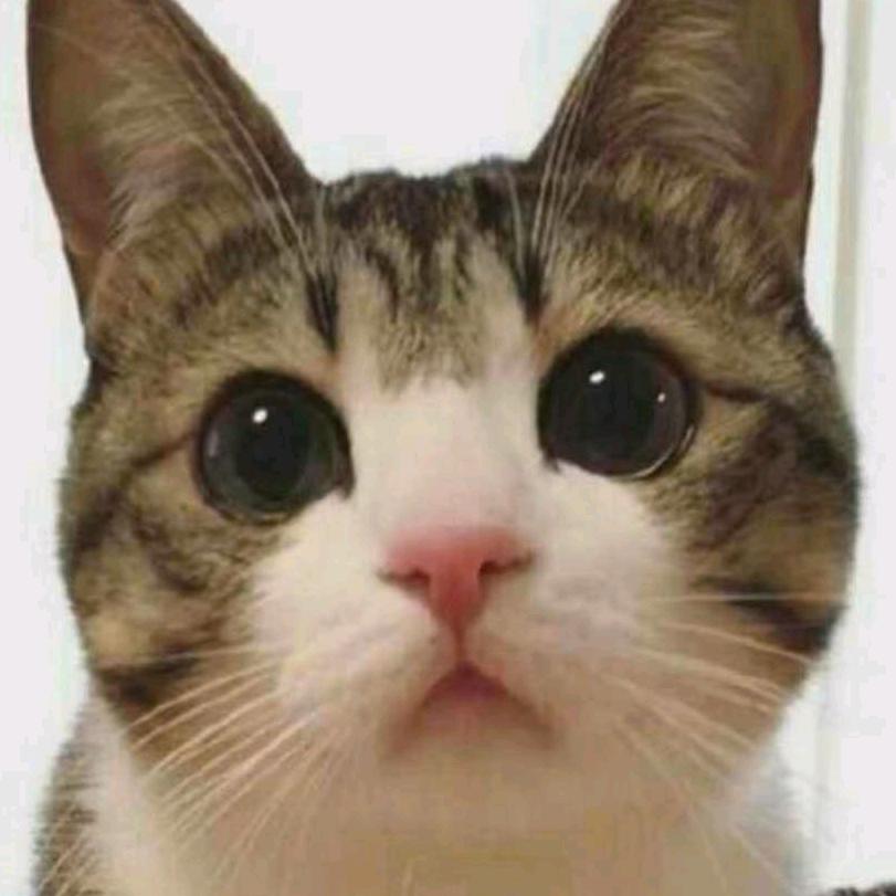 咸鱼中下游