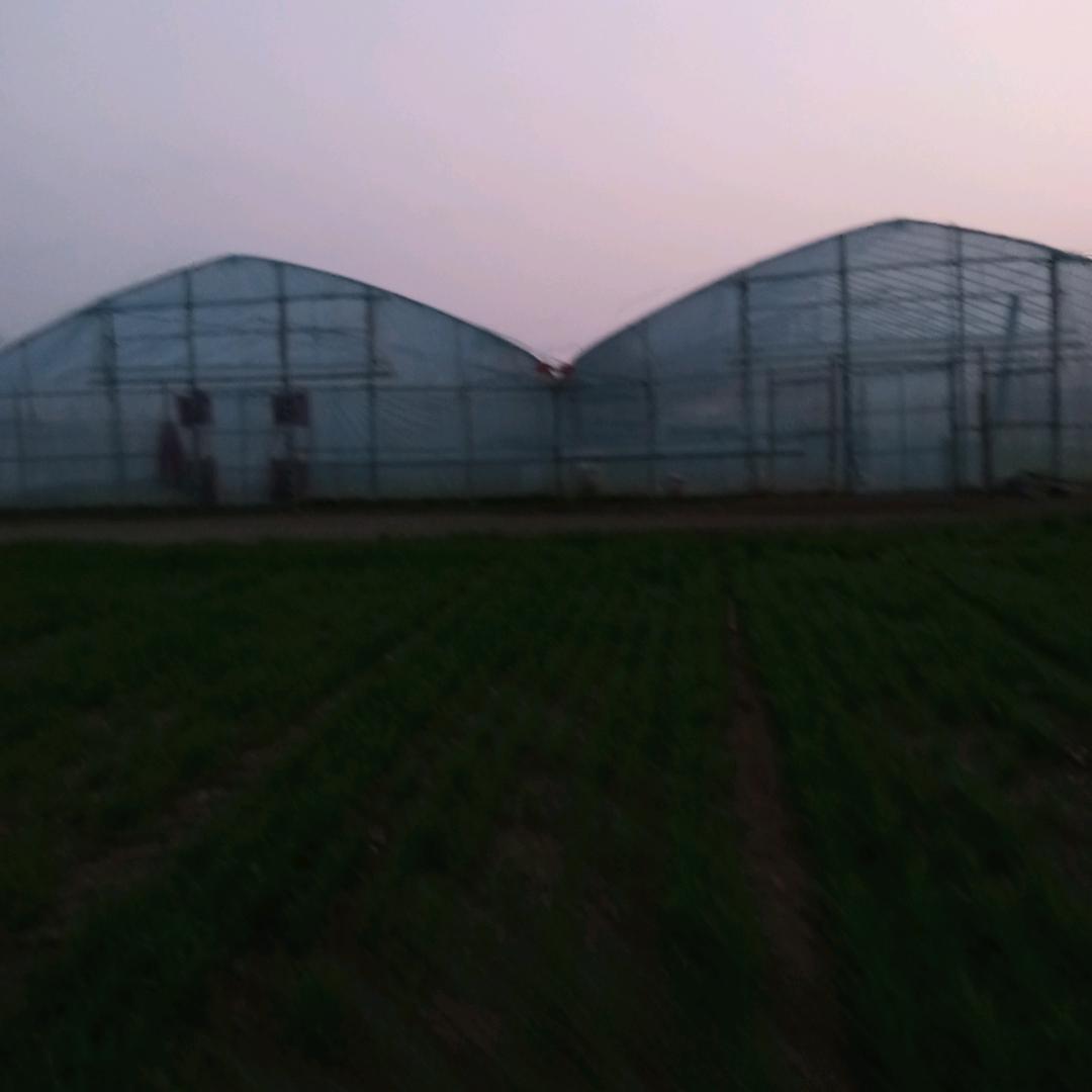 朱庄