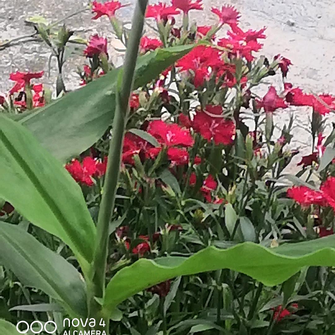 满满而归