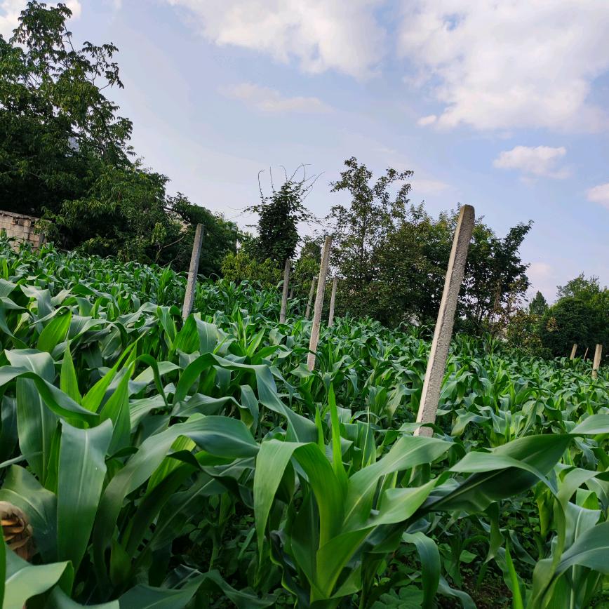 必须，坚强2023*6*5难……忘…看但