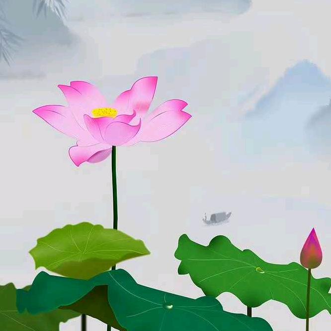 灵枝