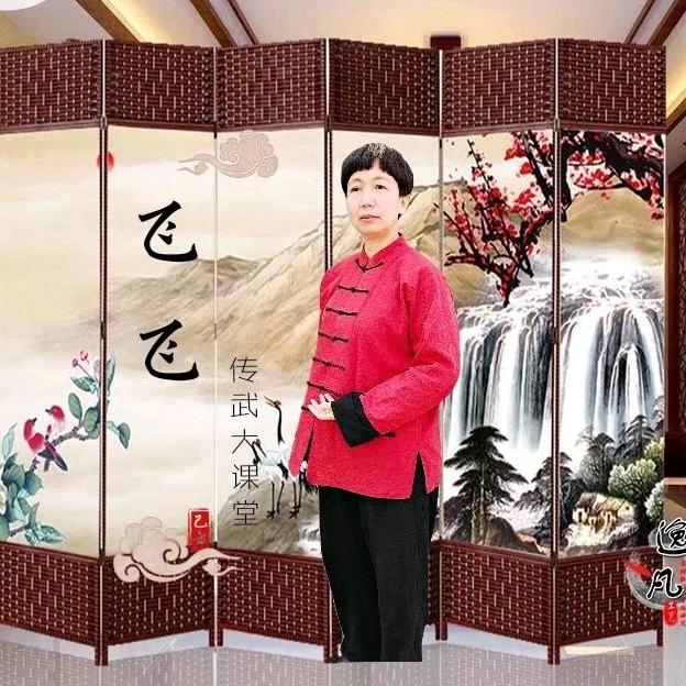 传武太极飞飞