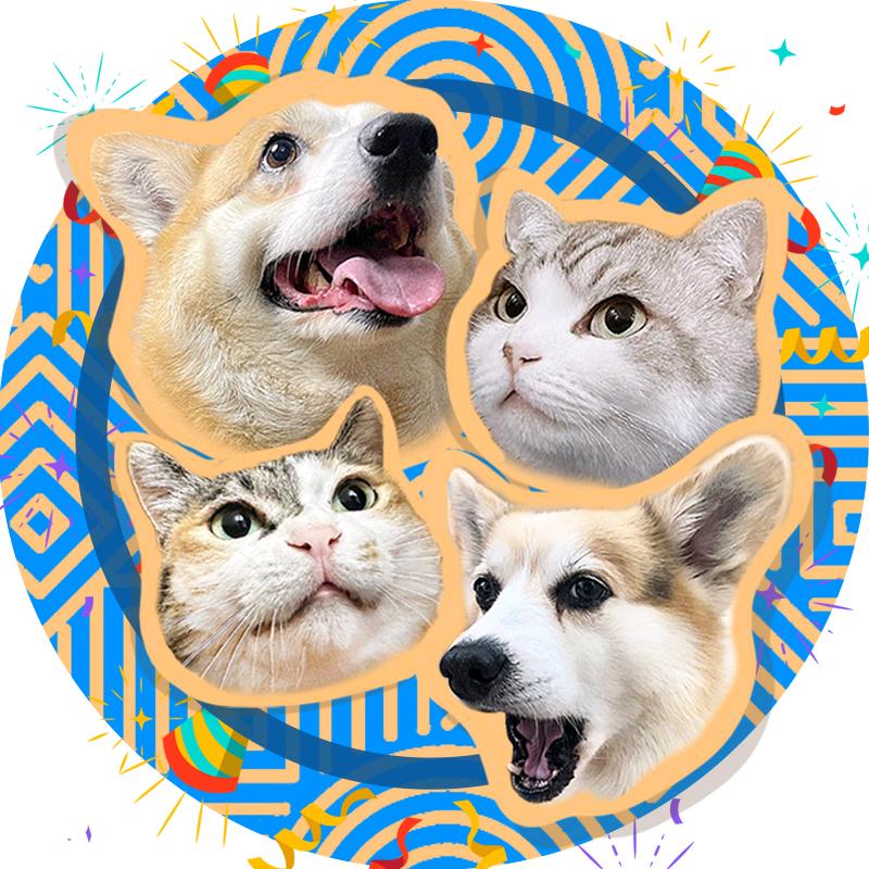 蛋夹的叛逃日记