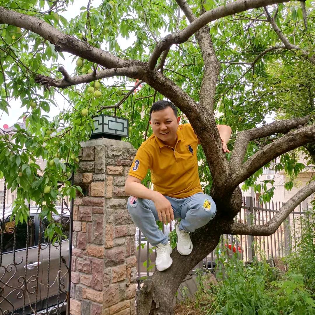 爱车一族ZJ