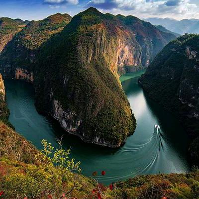 无味中国🇨🇳