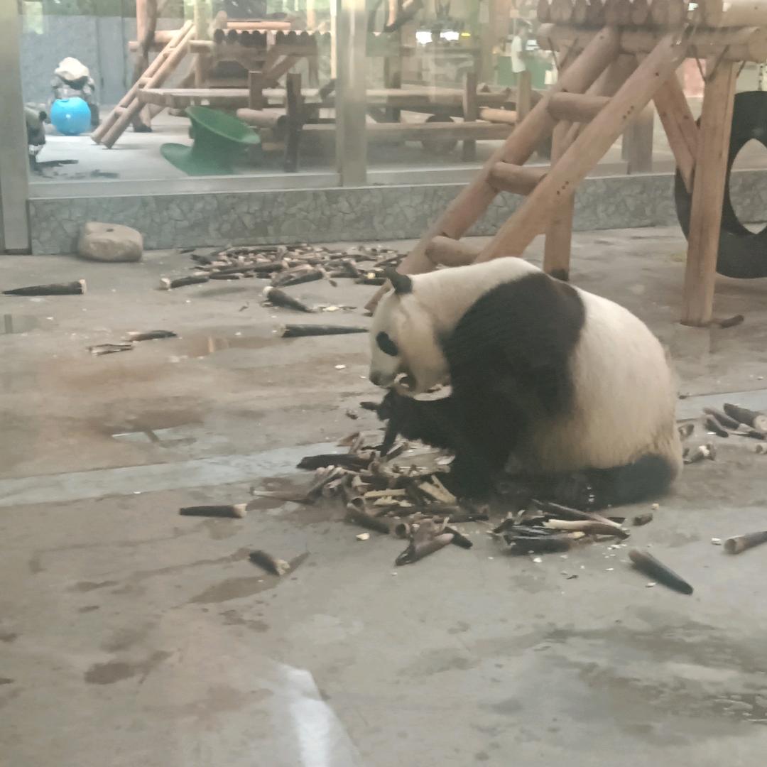 半城  烟沙